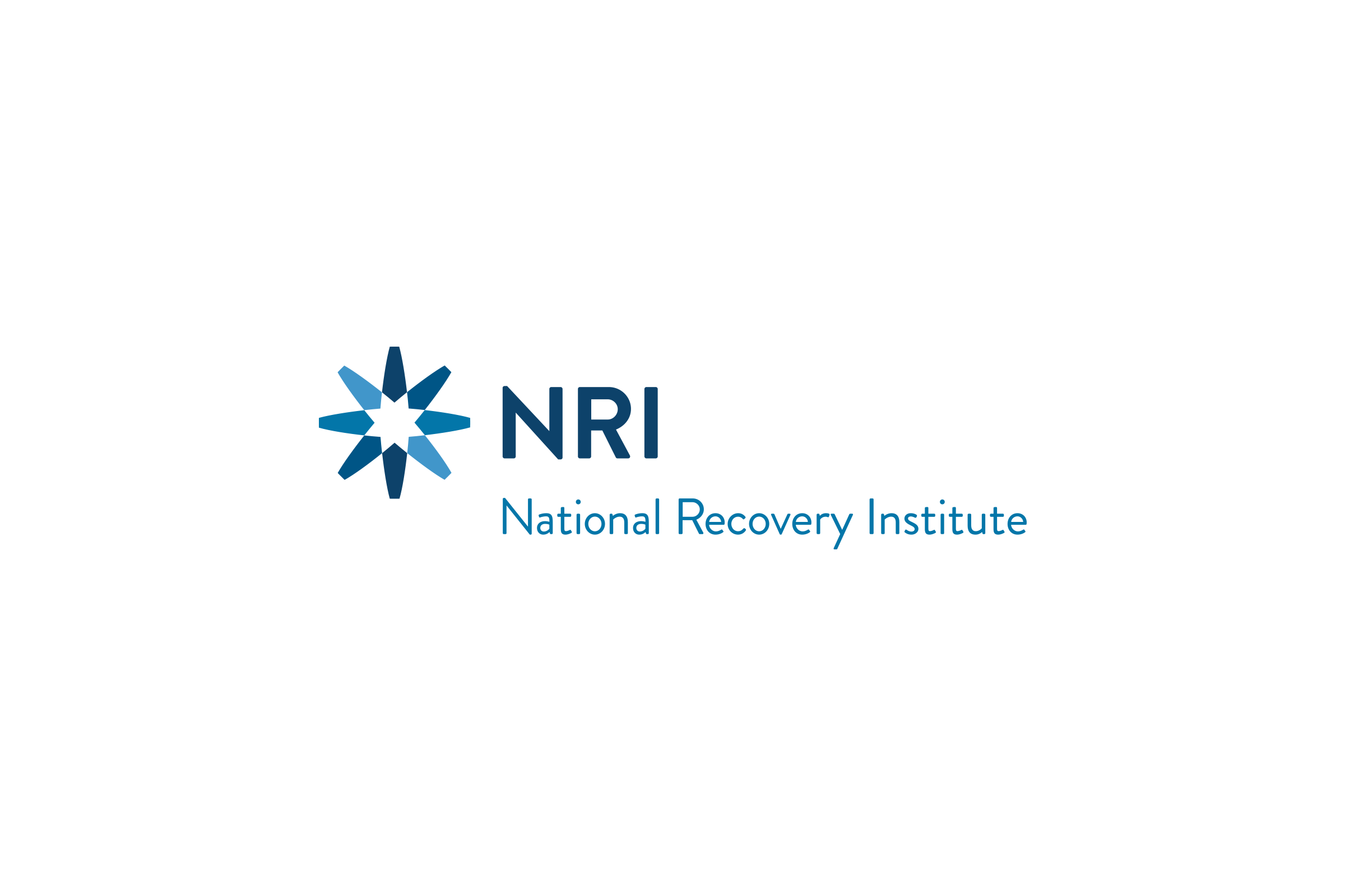 NRI Logo