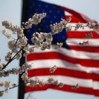 2019-05-27-American-flag-behind-blossoms