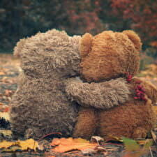 Two Teddy bear hugging each other and looking at the autumn forest