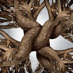 Unity symbol as an eternal knot of trust made from the roots and trunks of growing trees as a community or business friendship concept for the power of teamwork and solidarity working together for solid success and growth.